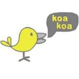 Koa Koa