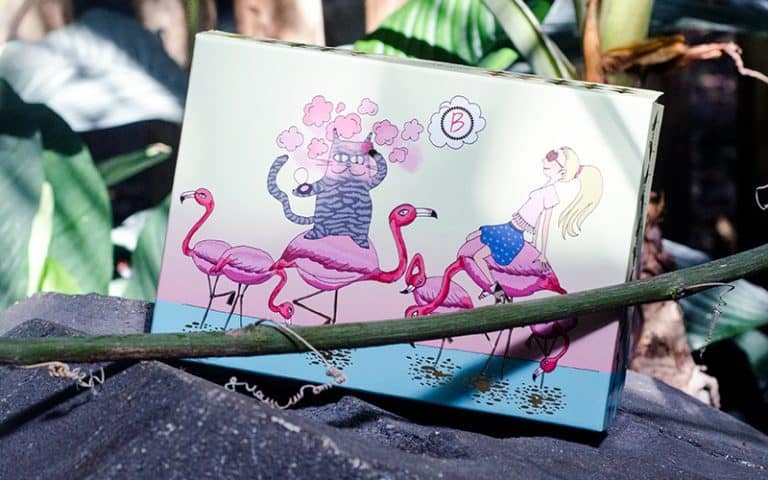 Beautiful Box de Septembre : en mode Ete Indien