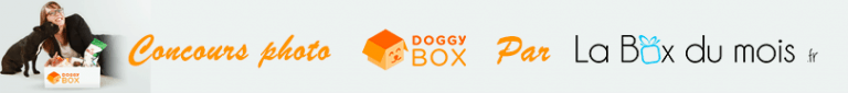Remportez une DoggyBox avec La Box du mois