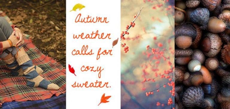 Les indices pour My Little Box de Novembre sont publiés