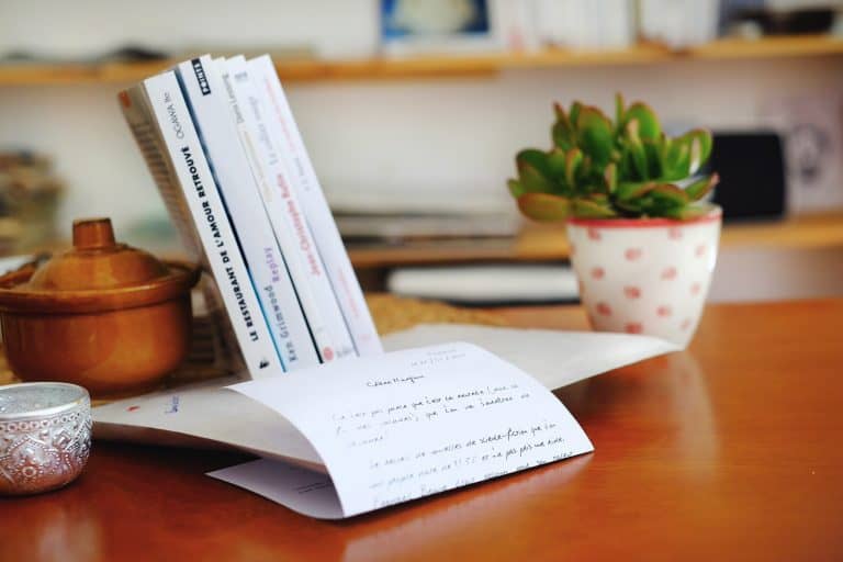 Livre-moi(s) passera le cap des 1000 abonnés à la fin de l’année!
