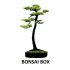 Bonsai Box