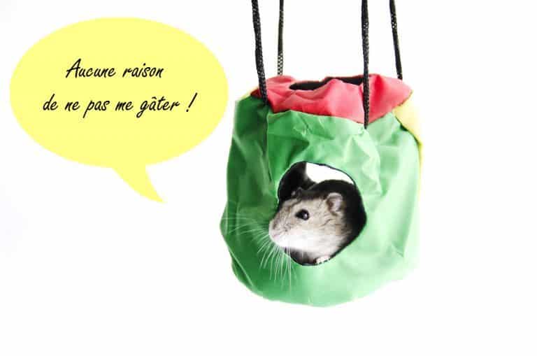 C'est les soldes chez NACbox !