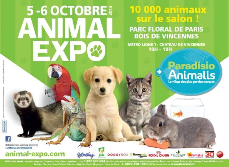 Doggybox et Kittybox seront sur le salon Animal Expo