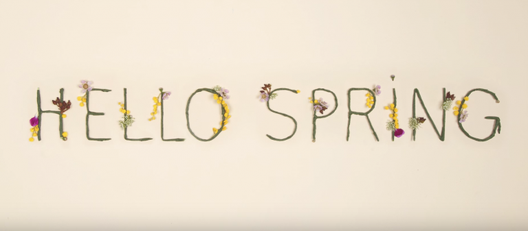 « Hello Spring » : La Birchbox de Mars 2016 se dévoile