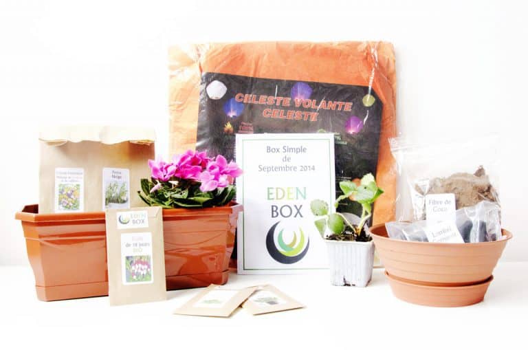 Eden Box - Septembre 2014
