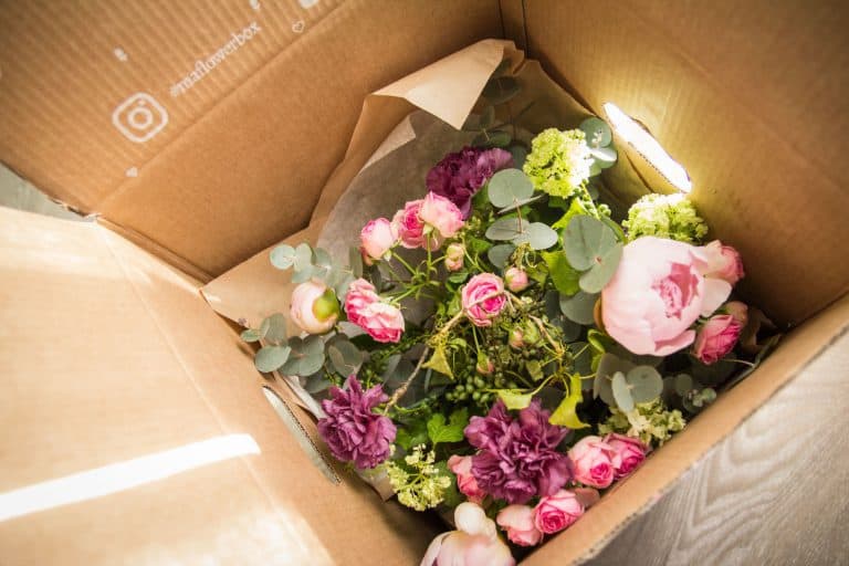 Ma Flower Box - Avril 2017