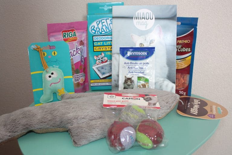 Miaou Box - Septembre 2016