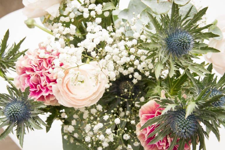 Flower Box - Février 2017