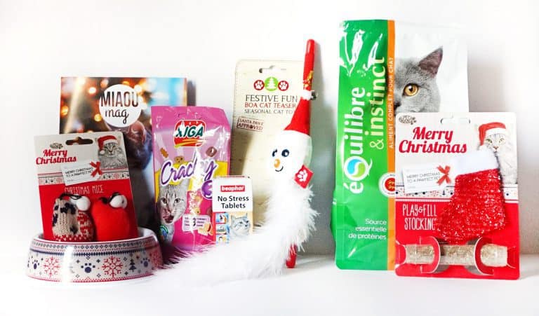 MiaouBox - Decembre 2015