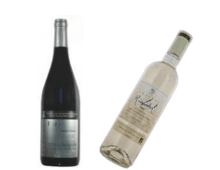 Découverte Vins Bio - Janvier 2014