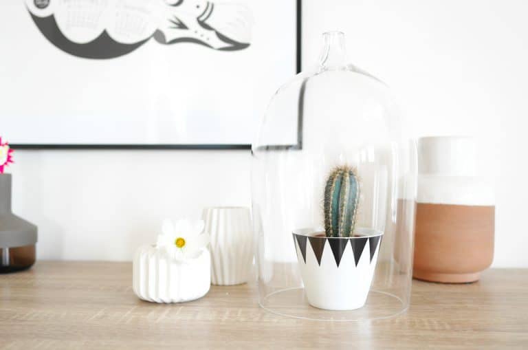 Designer box - N23