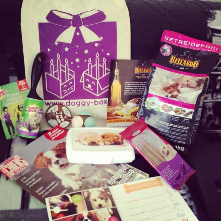 DoggyBox - Mai 2013