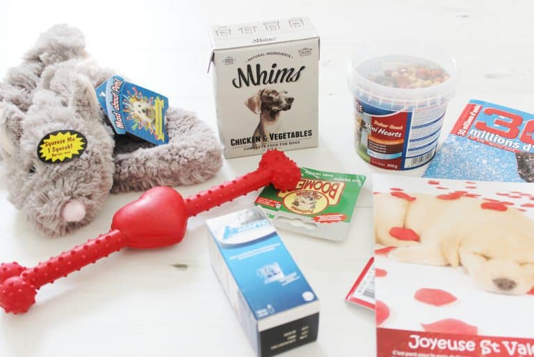 Doggy Box - Février 2015