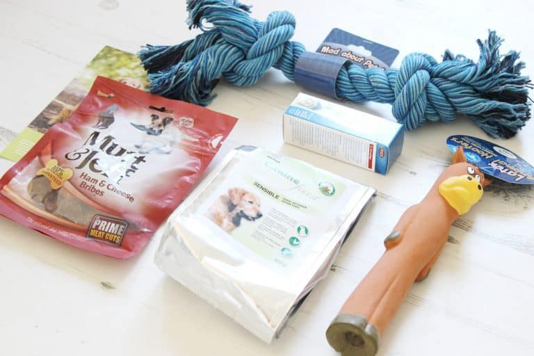 Doggy Box - Mai 2015