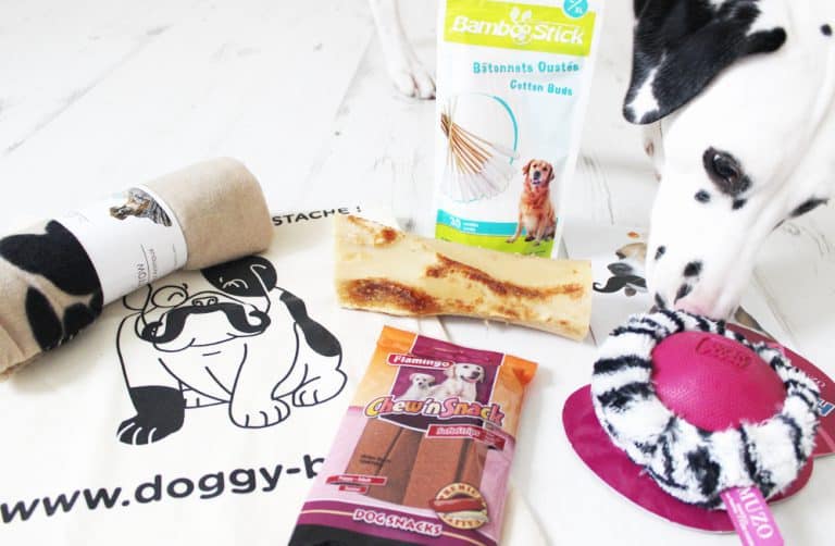 DoggyBox - Novembre 2014