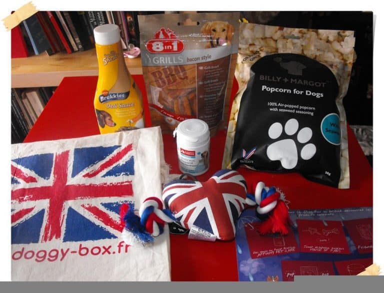 DoggyBox - Mars '13