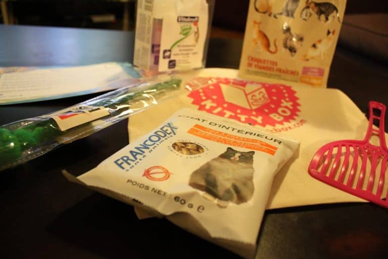 Kitty Box - Fevrier '13