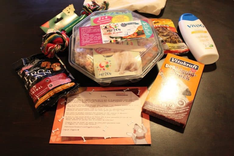 DoggyBox - Fevrier '13