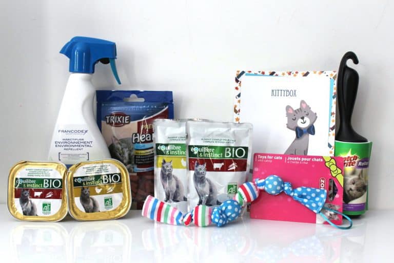 Kitty Box - Septembre 2014