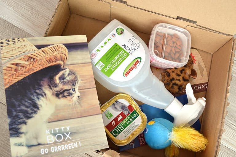 Kitty Box - Juillet 2015