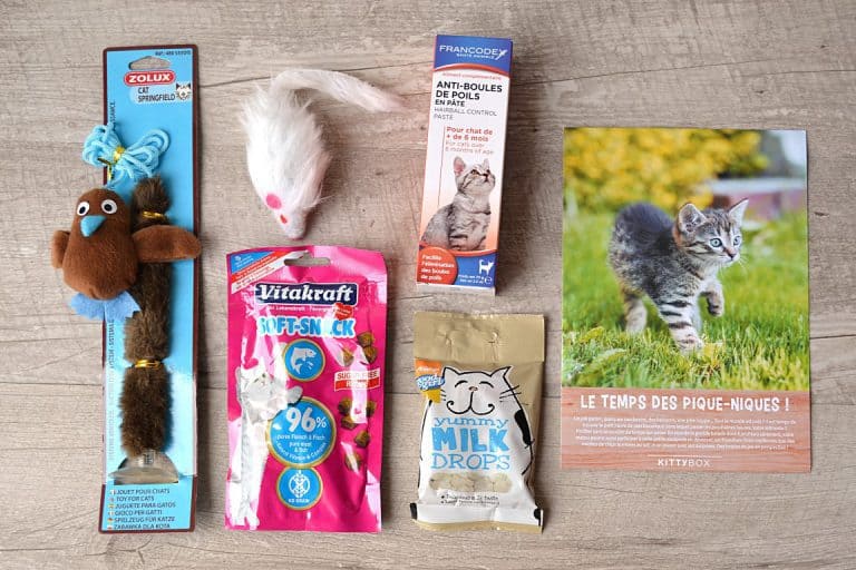 Kitty Box - Juin 2015