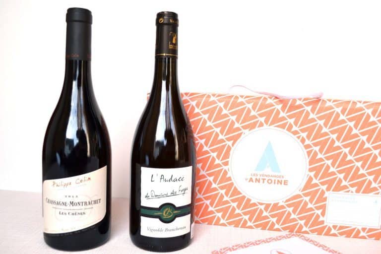 Les Vendanges d'Antoine - Novembre 2015