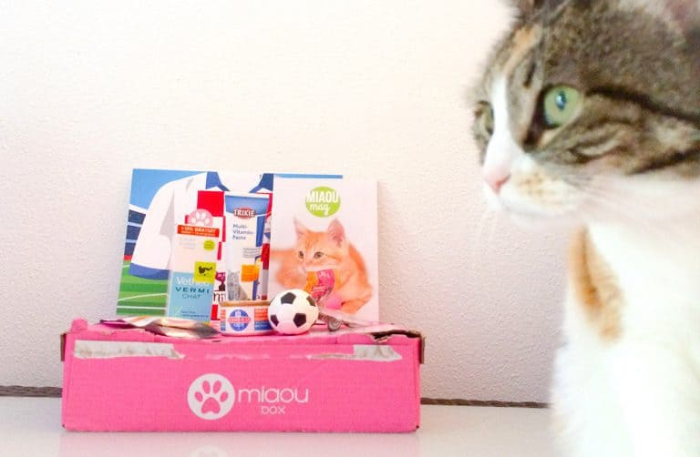 Miaoubox - juin 2014