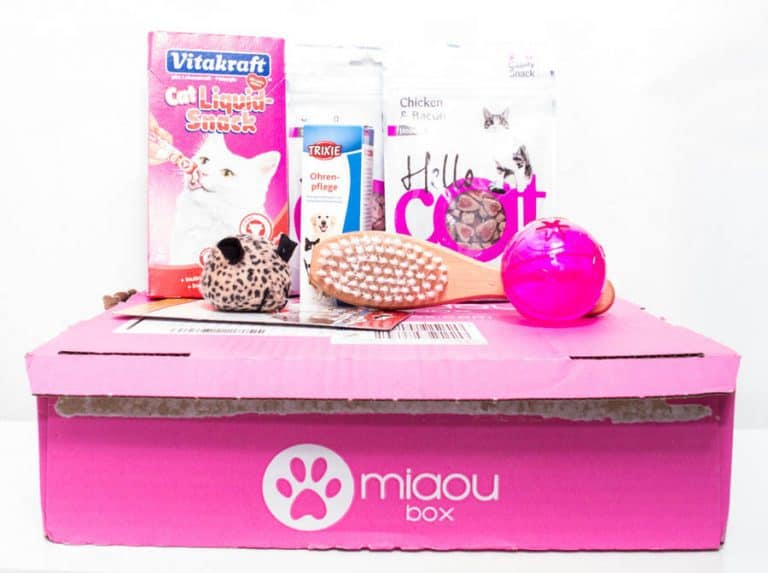 MiaouBox - Janvier 2014
