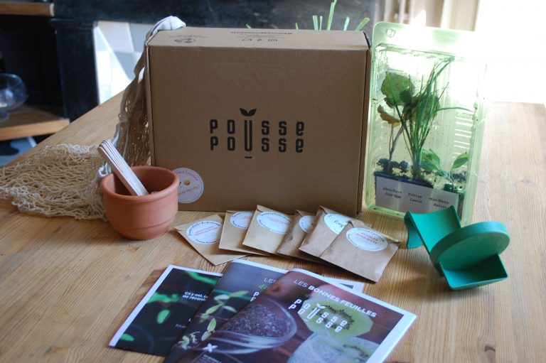 Pousse pousse Septembre 2018